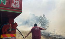 Çanakkale'de çıkan orman yangını söndürüldü