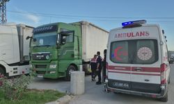 Edirne'de tır sürücüsü aracında hayatını kaybetti