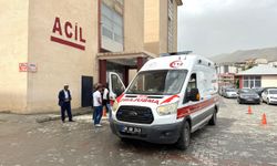 Hakkari'de öğrenci servisinin devrilmesi sonucu 8 kişi yaralandı