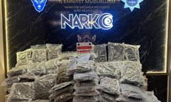 Hamzabeyli Sınır Kapısı'nda aranan tırda 115 kilogram uyuşturucu ele geçirildi