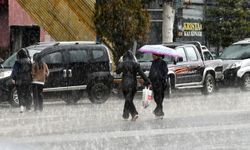 Kars'ın Sarıkamış ilçesinde dolu etkili oldu