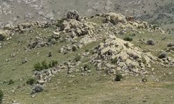 Kırşehir'de dağcılar "19 Mayıs"ı 1530 rakımlı zirvede kutladı