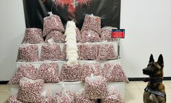Kocaeli'de uyuşturucu operasyonunda 1 şüpheli tutuklandı