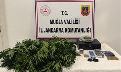 Muğla'da evde uyuşturucu madde yetiştirdiği iddiasıyla 2 zanlı gözaltına alındı