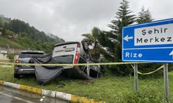 Rize'de hafif ticari araç ile cipin çarpıştığı kazada 1 kişi hayatını kaybetti