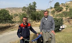 Siirt'te kuyuya düşen keçiyi AFAD ekipleri kurtardı
