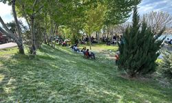 Van'da artan polen yoğunluğu alerjik şikayetleri artırdı
