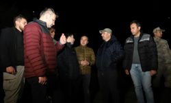 Van'da inci kefalinin tatlı sulara yolculuğu devam ediyor