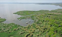 Kuşcenneti Milli Parkı baharda gelen kuşlarla renklendi