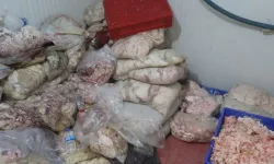 Şanlıurfa'da 1500 kilogram gümrük kaçağı ve bozulmuş et ele geçirildi