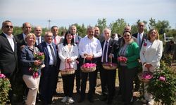 Edirne'de, yetiştirilen güller şenlikle hasat edildi