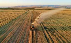 Çiftçilere yaklaşık 3,1 milyar lira destek ödemesi bugün yapılacak