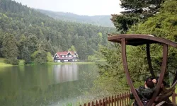 Gölcük Tabiat Parkı Baharla Birlikte Tatilcilerin Akınına Uğradı