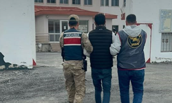 Ardahan’da hırsızlık yapan şahıs tutuklandı