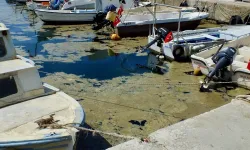 Erdek Körfezi kıyılarında müsilaj görüldü