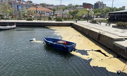 Balıkesir'in Bandırma kıyılarında müsilaj görüldü