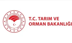 Orman Bakanlığı’ndan 20 Mayıs Dünya Arı Günü mesajı