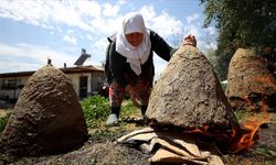 Kırklareli'nde arıcıların "oğul alma" mesaisi başladı