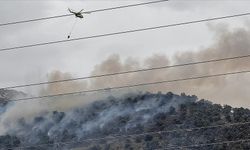 İzmir'de zeytinlik alanda çıkan yangın kontrol altına alındı