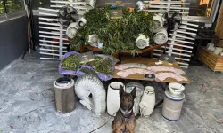 İzmir'de villada uyuşturucu imal eden şüpheli tutuklandı