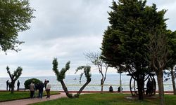 Kocaeli'de kayalıklarda ceset bulundu