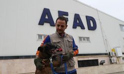 AFAD'ın Köpekli Arama Timi Çalışma ve Sınav Yönetmeliği Resmi Gazete'de