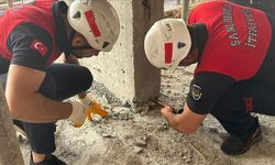 Şanlıurfa'da beton kolonun altında mahsur kalan kedi yavrusu kurtarıldı