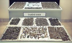 Kapıkule'de tırda tarihi eser niteliğinde 12 bin 770 sikke ve obje ele geçirildi