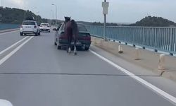 Adana'da otomobile bağladıkları atı koşturan 2 şüpheli tutuklandı