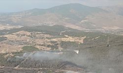 İzmir'in Aliağa ilçesinde ormanlık alanda çıkan yangına müdahale ediliyor