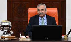 Sırrı Süreyya Önder'e Suikast İddiası Doğrulandı