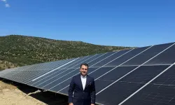 Tat Gıda'nın ilk güneş enerjisi santrali faaliyete geçti