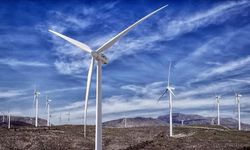 Türkiye'nin rüzgar enerjisi yerli sanayi ve elektrik üretimiyle enerji arzında kilit rol oynuyor