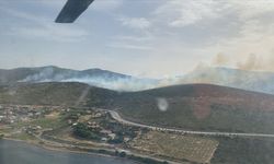 İzmir'de tarım arazisinde çıkan ve ormanlık alana sıçrayan yangına müdahale ediliyor