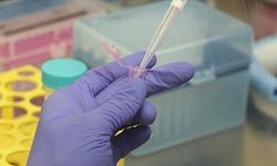 ALS hastalığında genetik temelli yeni tedavi stratejisi üzerinde çalışılıyor