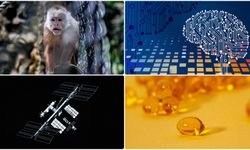 Uzay istasyonundaki yeni mikrop türünden fotoğraftan yaş analizine mayısın bilimsel gelişmeleri
