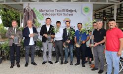 "Alanya keçiboynuzu" coğrafi işaretle tescillendi