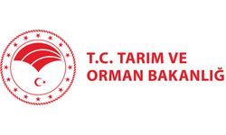 İstanbul’da 1 milyon 254 bin fide üreticilere dağıtılacak