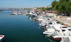 Tekirdağlı balıkçılar istavrit umuduyla denize açıldı