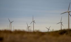 Rüzgar enerjisi yatırımlarının bu yıl 1,5 milyar doları aşması bekleniyor