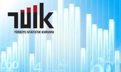 Türkiye İstatistik Kurumu 12 uzman yardımcısı alacak