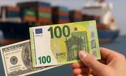 Uzmanlar avronun, doların alternatifi olma ihtimalini değerlendirdi