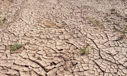 BM'den iklim değişikliğinin 2050'ye kadar 80 milyon kişiyi daha açlığa itebileceği uyarısı