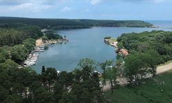 Sinop'ta denizle ormanın birleştiği Hamsilos Tabiat Parkı'nda çevre temizliği yapıldı