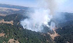 Kahramanmaraş'ta çıkan orman yangınına müdahale ediliyor