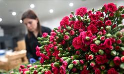 Anneler Günü için 30 ülkeye çiçek ihraç edildi
