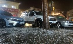 Bingöl'de sağanak ve dolu etkili oldu