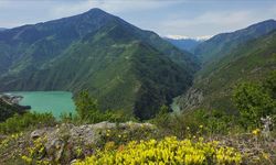 Karadeniz yeni turizm sezonuna hazır