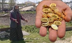 Kaz, gram altınla yarışıyor