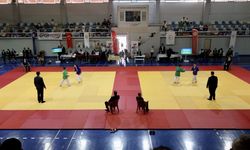 Yıldızlar Türkiye Kuraş Şampiyonası, Muğla'da yapıldı